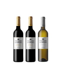 Seleção 3 garrafas Alentejo DOC